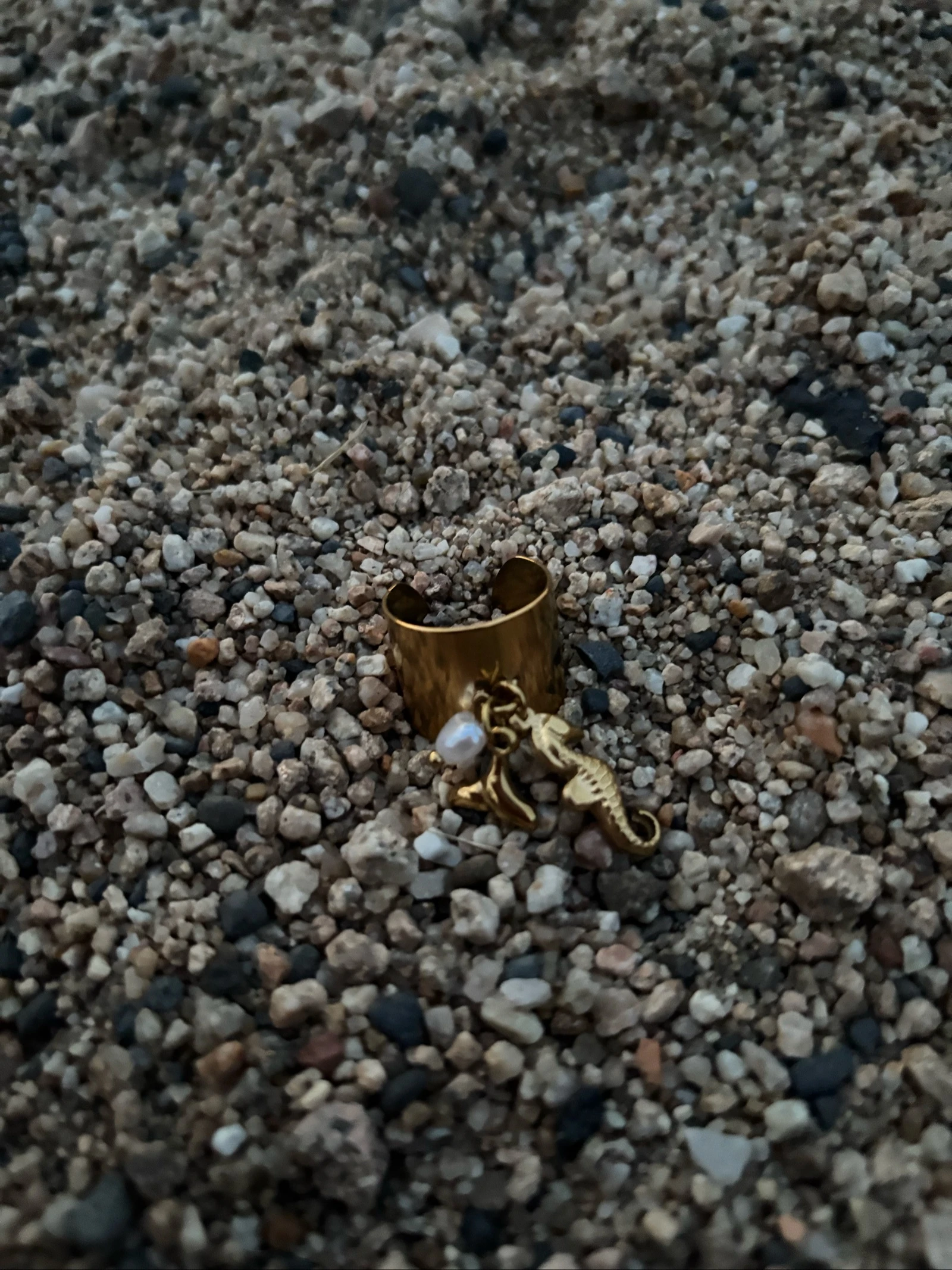 Anillo – photo 2